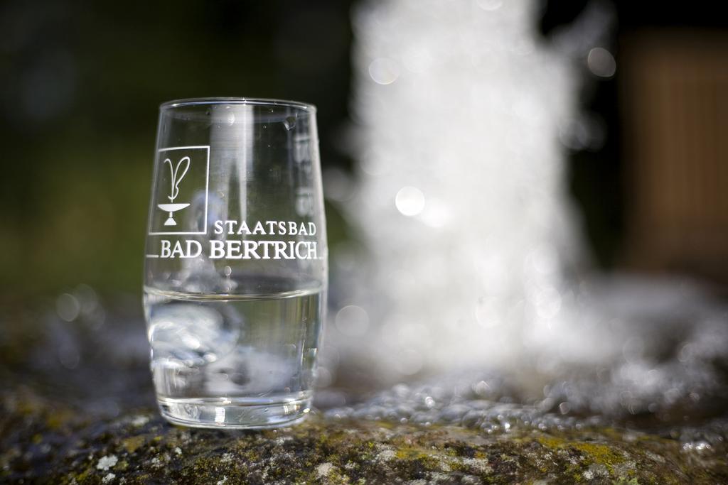 Landhaus Bad Bertrich Exterior photo