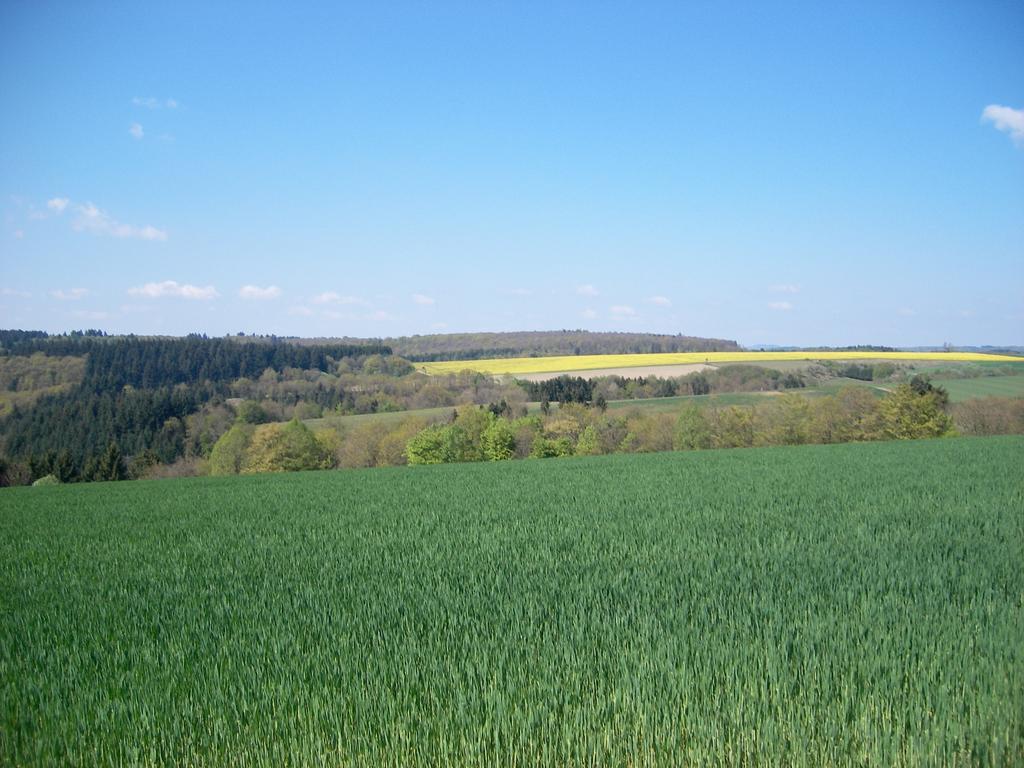 Landhaus Bad Bertrich Exterior photo