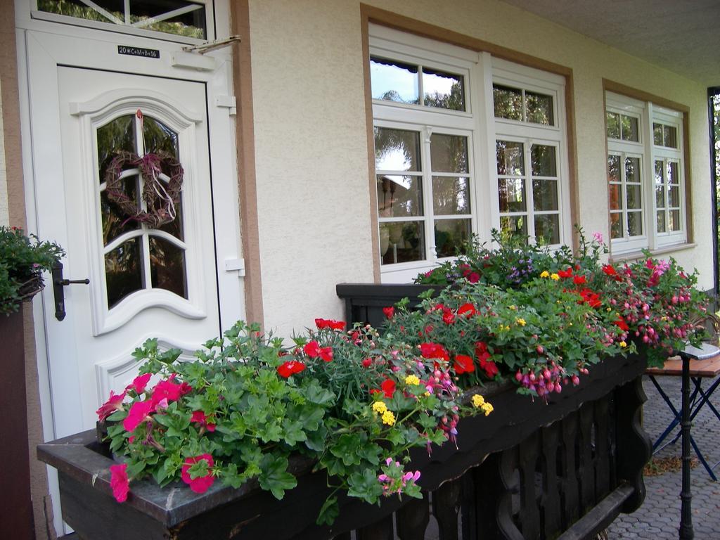 Landhaus Bad Bertrich Exterior photo