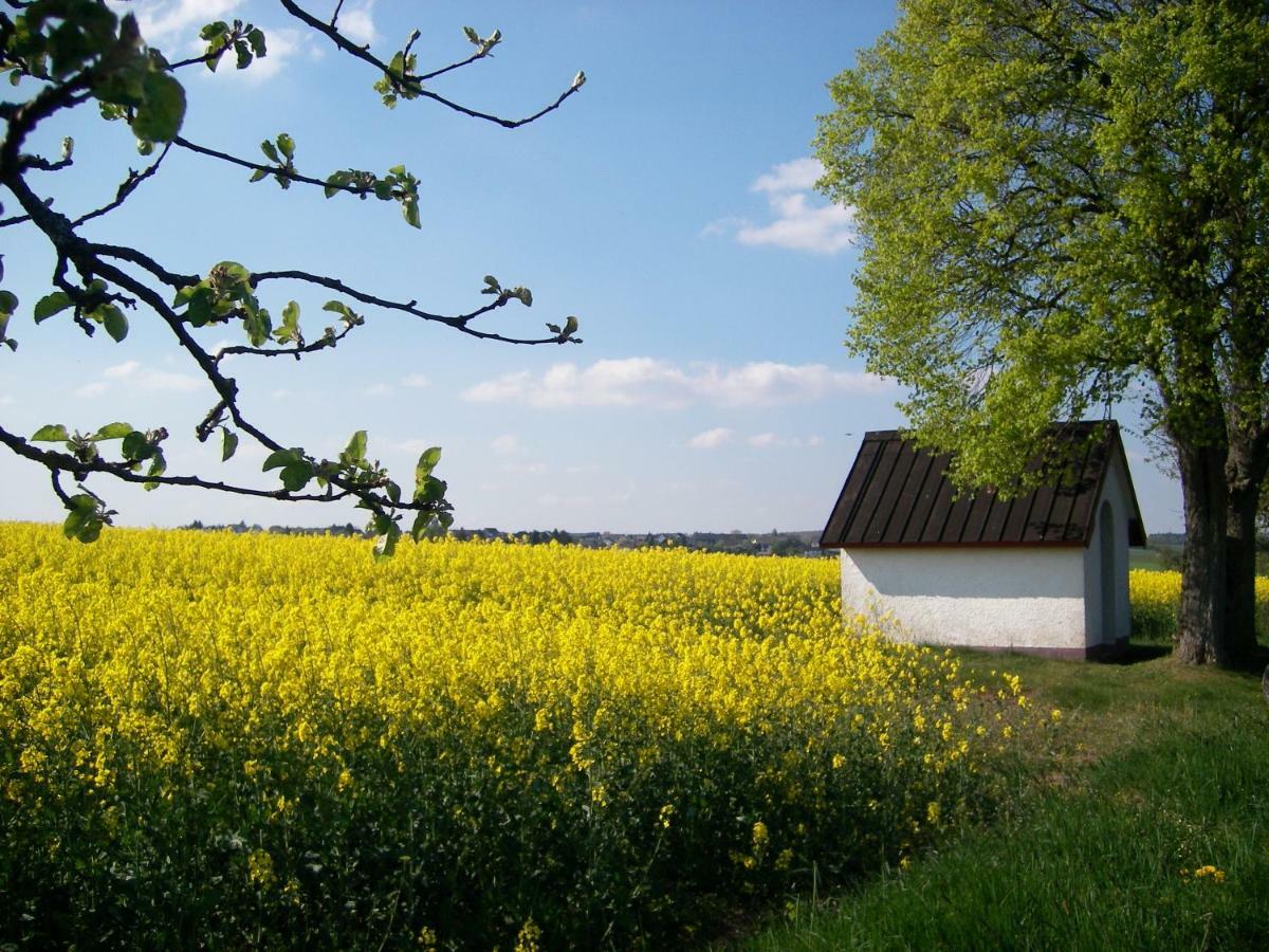Landhaus Bad Bertrich Exterior photo